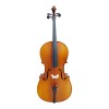 2 Stk Kolophonium Harz Für Violine Viola Cellosaiten Orchester Hohe Qualität 