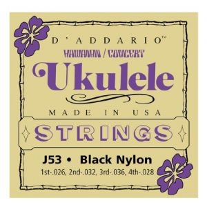 D’Addario J53