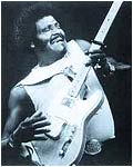 Albert Collins (1932-1993, voc, g)